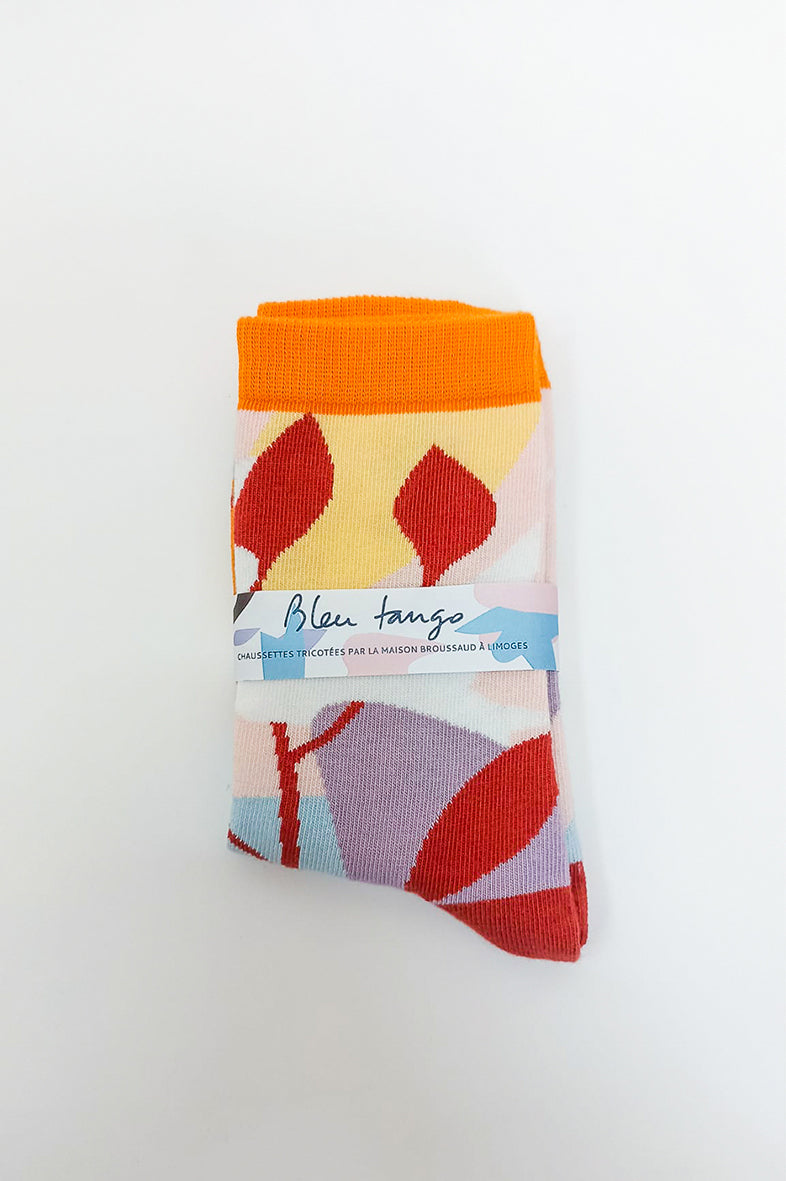 Chaussettes Fantaisie motif coloré 