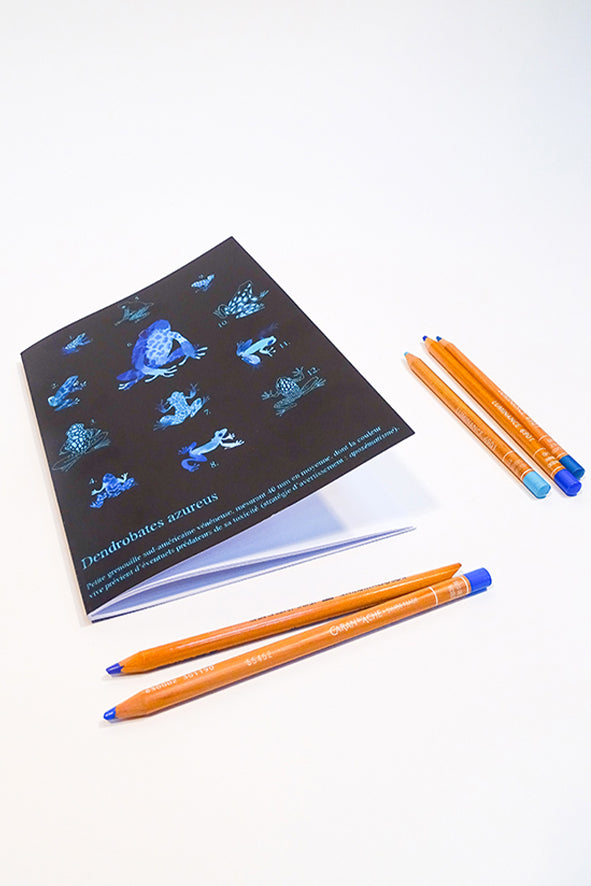 Carnets A5 à motif saison 3