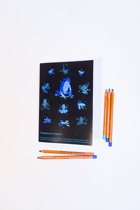 Carnets A5 à motif saison 3