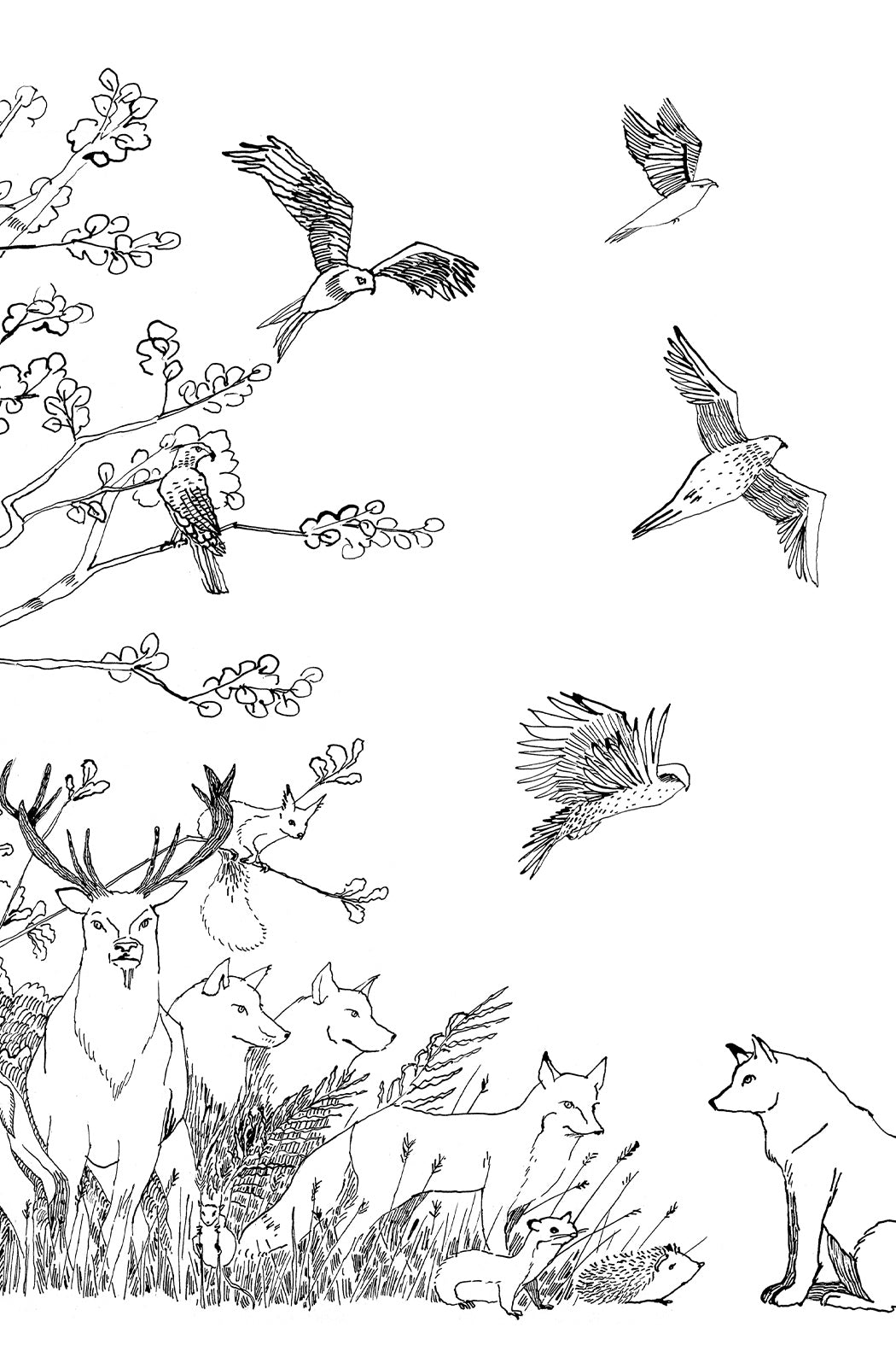 Carnet de coloriage Bleu tango