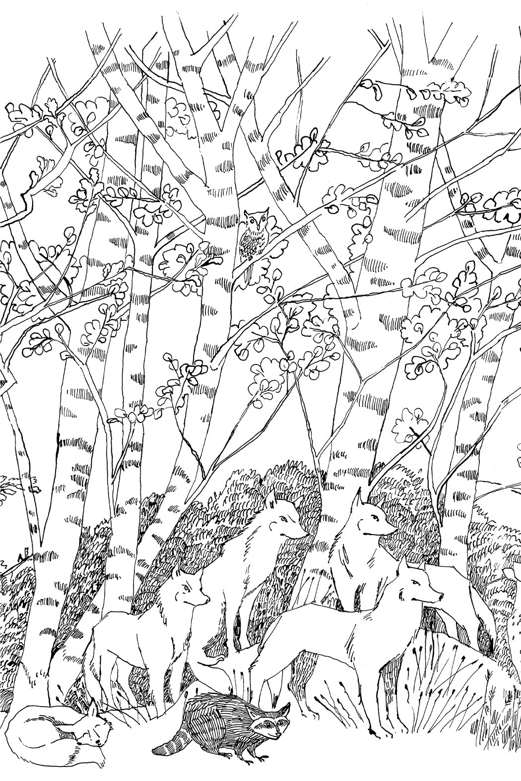 Carnet de coloriage Bleu tango